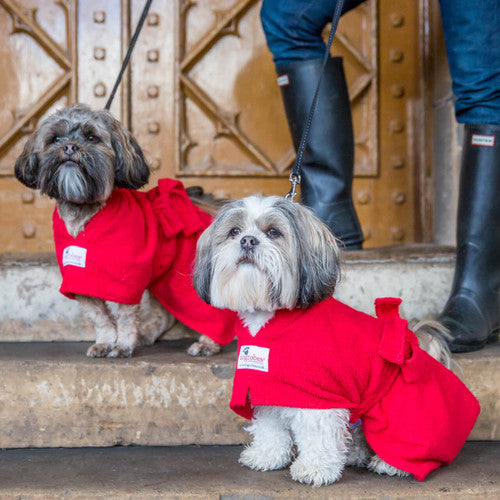 Dogrobes